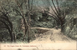 The Wagon Road, Mount Tamalpais Postcard