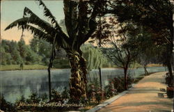 Hollenbeck Park Postcard