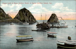 Sugar Loaf & Glass Bottom Boats Postcard