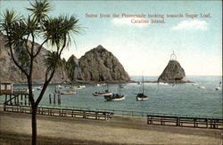 Scene from the Promenade looking towards Sugar Loaf Scene from the Promenade looking towards Sugar Loaf