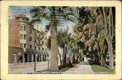 St. James Hotel and St. James Park, North First St San Jose, CA Postcard Postcard