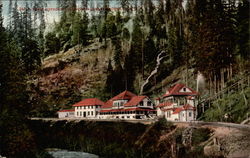 Shasta Springs, Shasta Route, California, S.P.R.R Postcard