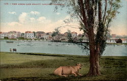 View Across Lake Merritt Oakland, CA Postcard Postcard