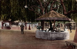 Under the willows, Thora Park Postcard