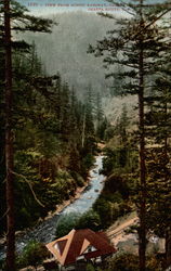 View from scenic railway, Shasta Route Postcard