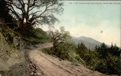 Mt. Tamalpas, from the Divide Postcard