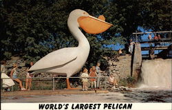 World's Largest Pelican Pelican Rapids, MN Postcard Postcard