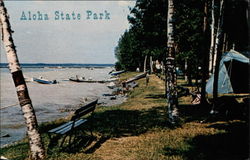 Aloha State Park Cheboygan, MI Lucy Gridley Postcard Postcard