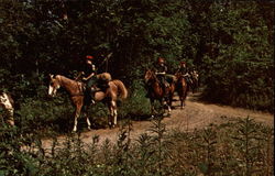 Boy Scouts on Horseback Postcard