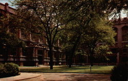 Law School and Harper Library Chicago, IL Postcard Postcard