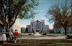 Ozark Playground Series Postcard