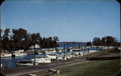 Municipal Boat Harbor on the Ohio River Postcard