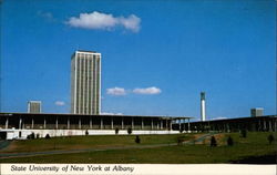 State University of New York at Albany Postcard