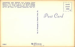 back