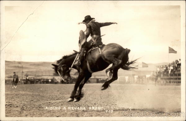 Riding a Nevada bronc