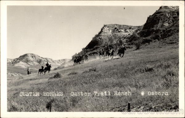 Custer Horses Custer Trail Ranch Osborn North Dakota