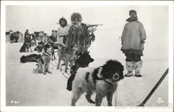 Dog sled team Dogs