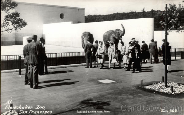 At Fleischaker Zoo San Francisco California
