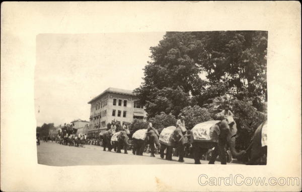 Circus coming down the street Elephants