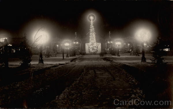 Lighted christmas tree in park Denver Colorado