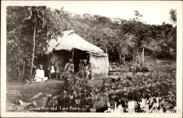 Grass hut and taro patch Hawaii