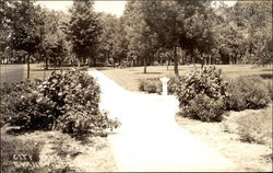 City Park Postcard