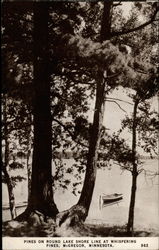 Pines on Round Lake Shore Line at Whispering Pines Postcard