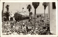 Catalina Island Santa Catalina Island, CA Postcard Postcard