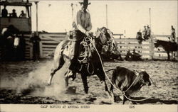 Calf Roping At Annual Rodeo Calf Roping At Annual Rodeo