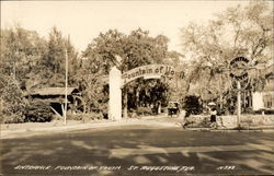 Entrance Fountain of Youth Postcard