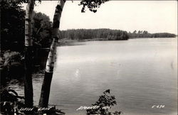 Lipsie Lake Spooner, WI Postcard Postcard