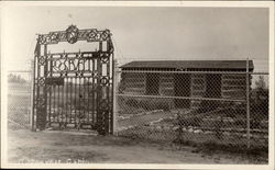 Roosevelt Cabin Postcard