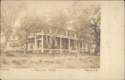 Willow View Postcard