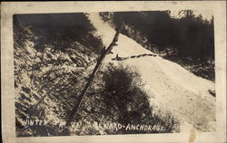 Dog sled team on ridge - Seward to Anchorage Postcard