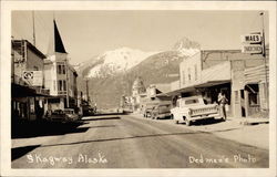 View of Town Street Postcard