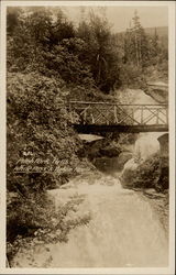 Pitch Fork Falls, White Pass and Yukon Route Postcard