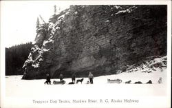 Trappers Dog Teams, Muskway River, B.C. Alaska Highway Postcard
