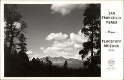 San Francisco Peaks Flagstaff, AZ Postcard Postcard