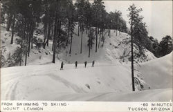 From Swimming to Skiing-Mount Lemmon From Swimming to Skiing-Mount Lemmon