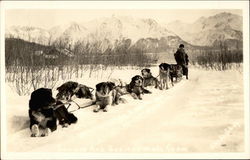 Winter scene with sled and dog team Postcard