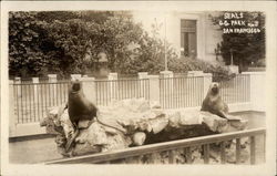 Stock #240266 Thumbnail