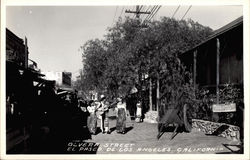 Olverta Street, El Paseo Los Angeles, CA Postcard Postcard