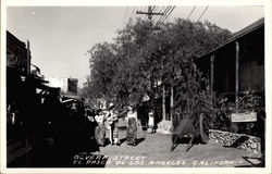 Olverta Street, El Paseo Postcard