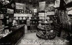 Interior of Fraternal Monarch - World Famous Tree House Redwood Highway, CA Postcard Postcard