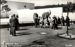 At Fleischaker Zoo San Francisco, CA Postcard Postcard