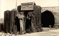 The Stump House The Stump House