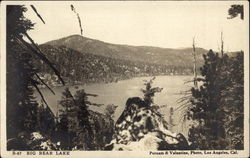 View of lake from above Postcard