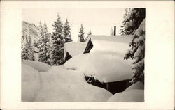 Snow covered houses Postcard