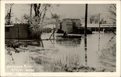 Gunnison River Flood Postcard