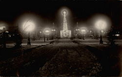 Lighted christmas tree in park Postcard